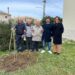 Modica, trenta alberi piantumati a Frigintini