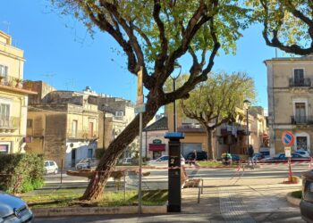 Ragusa, sarà abbattuto un albero in piazza Cappuccini