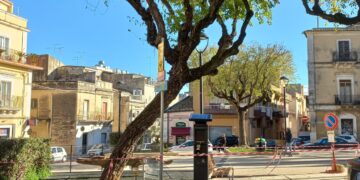 Ragusa, sarà abbattuto un albero in piazza Cappuccini