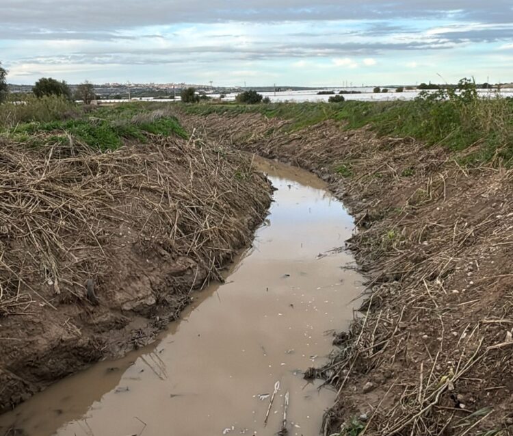 Ispica, proseguono i lavori di pulizia al torrente Favara