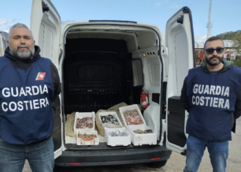 Operazione e-Fishing della Guardia costiera anche in provincia di Ragusa, sequestrati 125 kg di prodotti ittici
