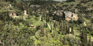 Raid a Modica nel cantiere dell’azienda forestale al parco Cava dei servi