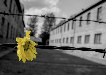 Modica, la Prefettura commemora il Giorno della memoria al teatro Garibaldi