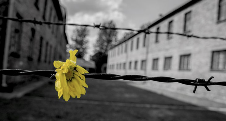 Modica, la Prefettura commemora il Giorno della memoria al teatro Garibaldi