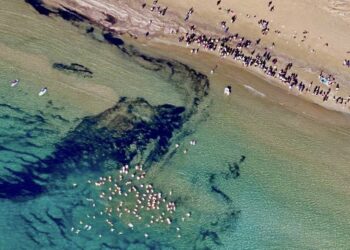 Marina di Modica, un grande successo il bagnoammare: è stato record di partecipanti