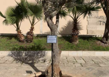 Vittoria, rubata nella notte la targa di bronzo dedicata al questore Palatucci