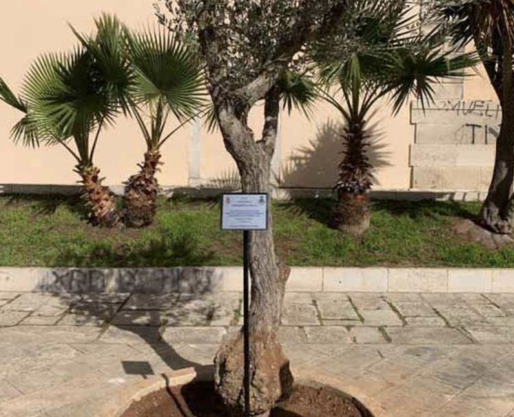 Vittoria, rubata nella notte la targa di bronzo dedicata al questore Palatucci