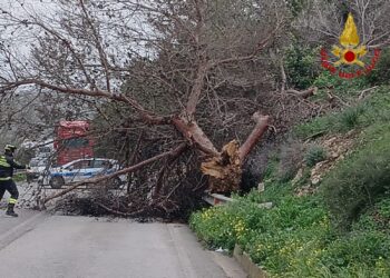 Maltempo in provincia di Ragusa, una quarantina le richieste di soccorso ai vigili del fuoco