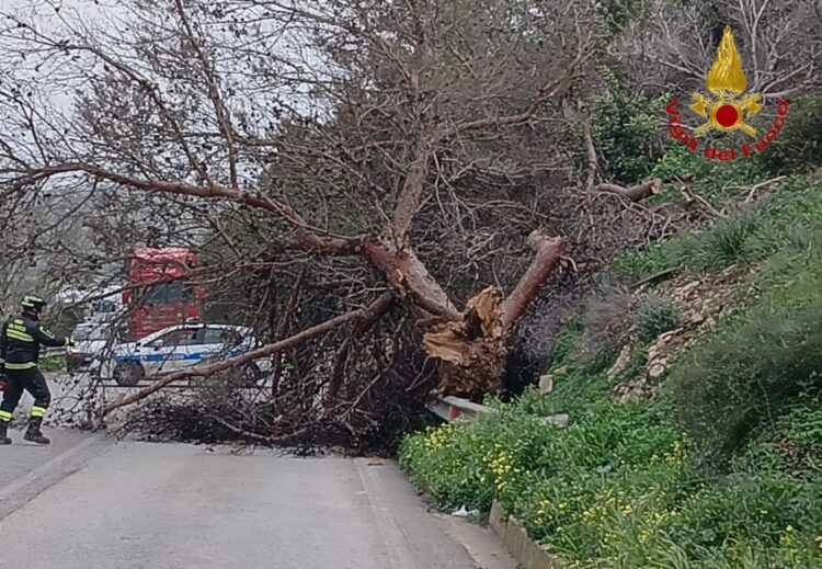 Maltempo in provincia di Ragusa, una quarantina le richieste di soccorso ai vigili del fuoco