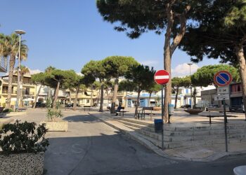 Scoglitti, Fare Verde contesta il progetto di riqualificazione di piazza Cavour: “Ancora una volta alberi nel mirino”