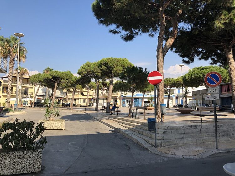 Scoglitti, Fare Verde contesta il progetto di riqualificazione di piazza Cavour: “Ancora una volta alberi nel mirino”