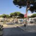 Scoglitti, Fare Verde contesta il progetto di riqualificazione di piazza Cavour: “Ancora una volta alberi nel mirino”