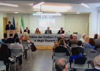 Ragusa, l’Ordine dei dottori commercialisti e il corso di aggiornamento sulle figure professionali che si occupano del Codice della crisi