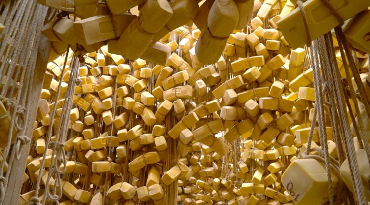 Modica, l’Unitre inizia il programma delle visite aziendali. Tappa a Progetto Natura