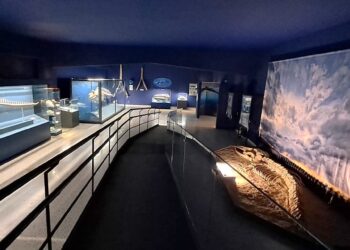 Comiso, cresce il numero dei visitatori al museo civico di storia naturale