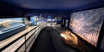 Comiso, cresce il numero dei visitatori al museo civico di storia naturale