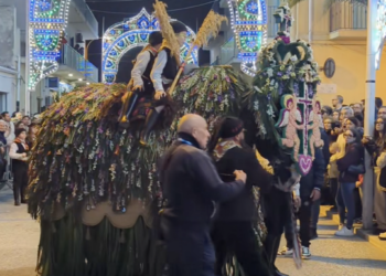 Scicli e la cavalcata di San Giuseppe, protesta la Lav: “Nessun rispetto per gli animali”