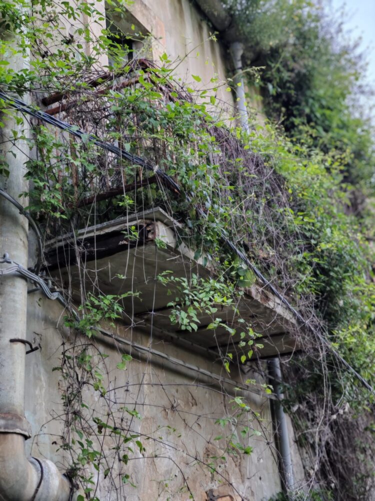 Ragusa, la via Molini abbandonata al degrado