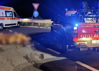 Modica, clamoroso incidente sull’autostrada. Due auto investono bovino vagante: ferite tre donne