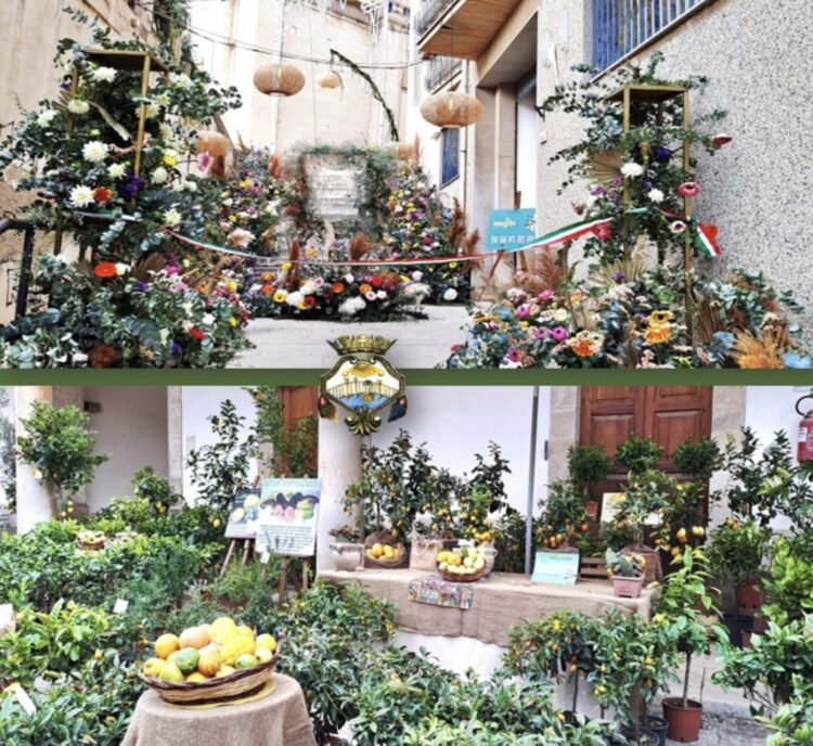 Comiso, al via i preparativi della seconda edizione di Innesto – intrecci urbani