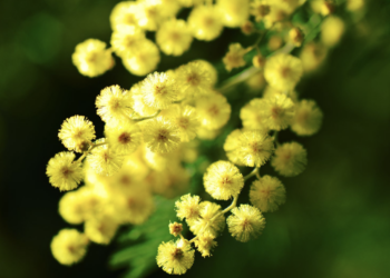 Modica, iniziative al femminile dell’Unitre