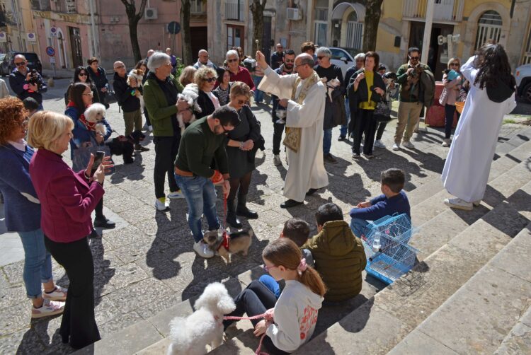 San Giuseppe a Ragusa, questa mattina la benedizione degli animali