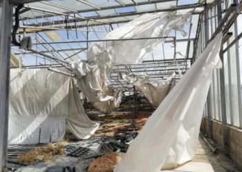 Modica, pratica da 154mila euro per un’azienda agricola che sorge sul territorio di Ragusa. Spadaro: “Ma com’è possibile?”