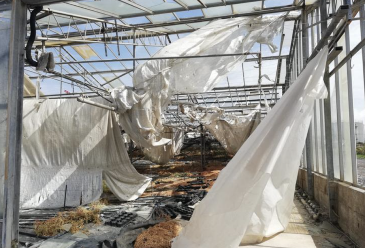 Modica, pratica da 154mila euro per un’azienda agricola che sorge sul territorio di Ragusa. Spadaro: “Ma com’è possibile?”