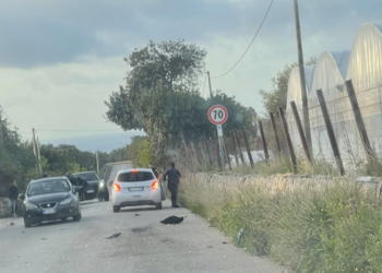 Incidente stradale sulla Scicli-Sampieri, auto contro muro di pietra a secco