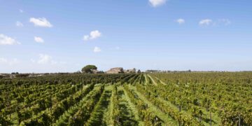 Vittoria, al Vinitaly di Verona si celebrano i 20 anni della Docg Cerasuolo