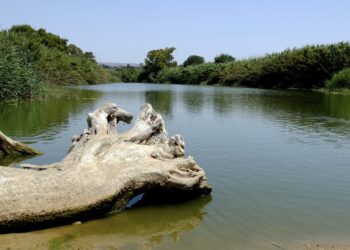 Scicli, la foce del fiume Irminio sarà liberata dall’accumulo dei rifiuti in plastica