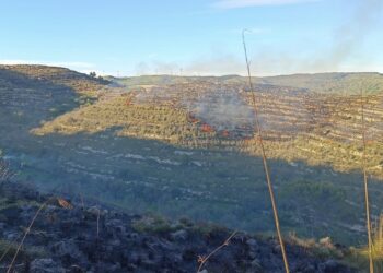 Giarratana, notte di paura con l’incendio nelle campagne presidiato dai vigili del fuoco
