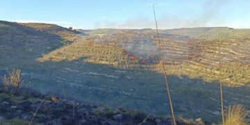 Giarratana, notte di paura con l’incendio nelle campagne presidiato dai vigili del fuoco