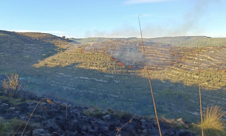 Giarratana, notte di paura con l’incendio nelle campagne presidiato dai vigili del fuoco