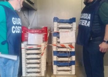Controlli lungo la costa da Scoglitti a Pozzallo, sequestrati prodotti ittici per 800 chilogrammi