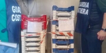 Controlli lungo la costa da Scoglitti a Pozzallo, sequestrati prodotti ittici per 800 chilogrammi