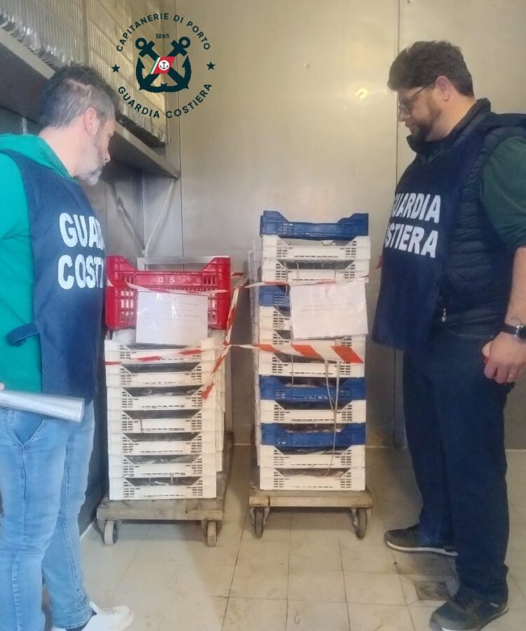 Controlli lungo la costa da Scoglitti a Pozzallo, sequestrati prodotti ittici per 800 chilogrammi