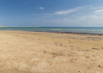 Marina di Modica, l’assessore Cannizzaro: “Proposta la modifica del perimetro della Zcs della spiaggia di Maganuco”