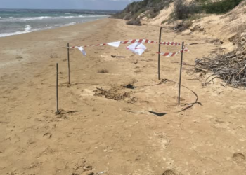 Ispica, trovato ordigno bellico sulla spiaggia di Santa Maria del Focallo