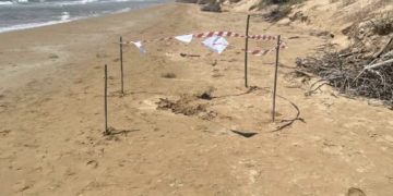 Ispica, trovato ordigno bellico sulla spiaggia di Santa Maria del Focallo