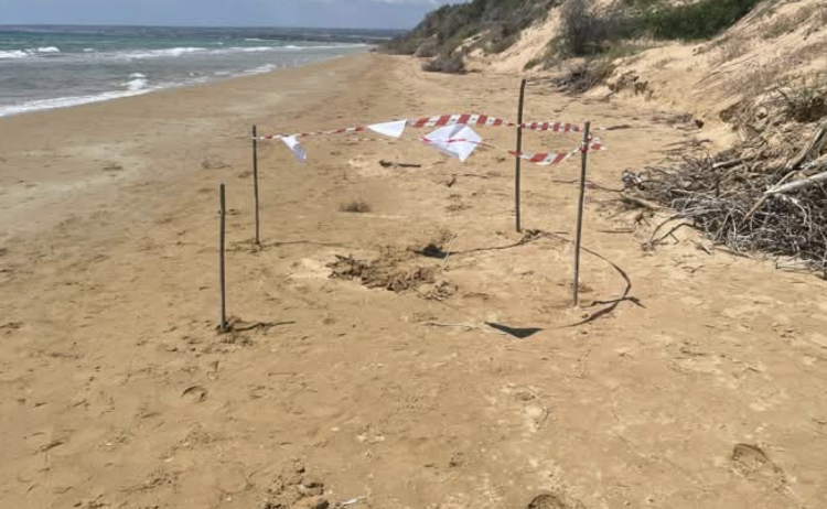 Ispica, trovato ordigno bellico sulla spiaggia di Santa Maria del Focallo