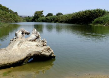 Libero consorzio comunale di Ragusa, al via la Settimana dell’ambiente