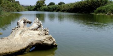 Libero consorzio comunale di Ragusa, al via la Settimana dell’ambiente
