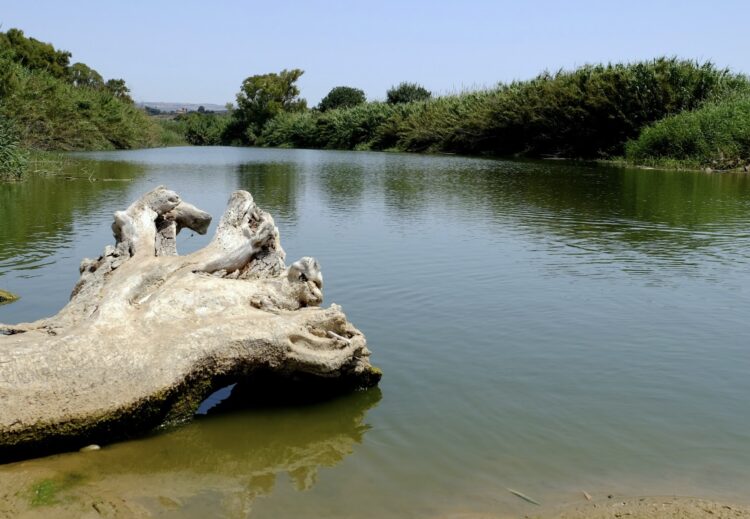 Libero consorzio comunale di Ragusa, al via la Settimana dell’ambiente