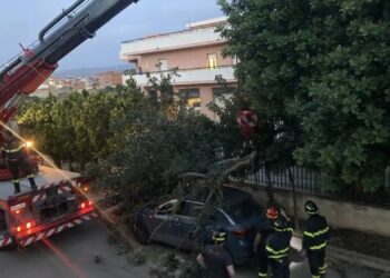 Vittoria, albero abbattuto dal vento finisce sul parabrezza di un’auto