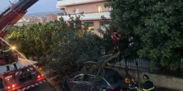 Vittoria, albero abbattuto dal vento finisce sul parabrezza di un’auto