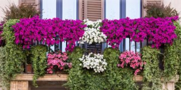 Santa Croce, arriva la terza edizione di balconi fioriti