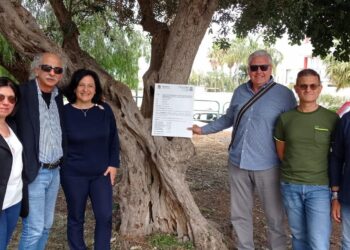 Comiso, consegnati i lavori per l’inclusività nei parchi giochi comunali