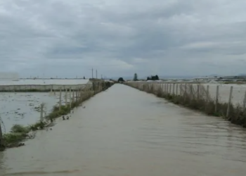 Fiume Dirillo ad Acate, al via i lavori di manutenzione straordinaria