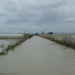 Fiume Dirillo ad Acate, al via i lavori di manutenzione straordinaria